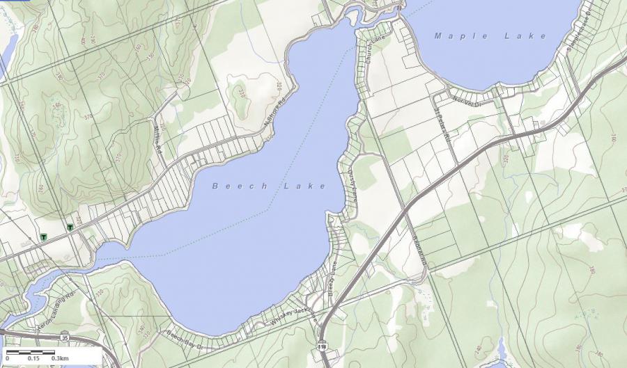 Topographical Map of Beach Lake in Municipality of Algonquin Highlands and the District of Haliburton